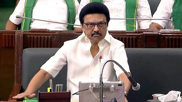 <div class="paragraphs"><p>Tamil Nadu Chief Minister M K Stalin</p></div>