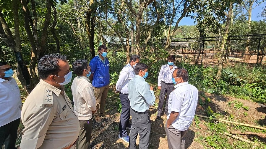 <div class="paragraphs"><p>Zoo Authority of Karnataka chairman K Rangaswamy and other officials inspect the Kittur Rani Channamma mini zoo near Belagavi on Monday. </p></div>