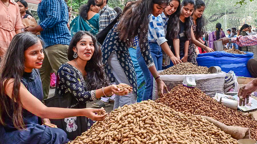 <div class="paragraphs"><p>At the bustling Kadlekai Parishe in Basavanagudi, visitors sift through mounds of peanuts. </p></div>