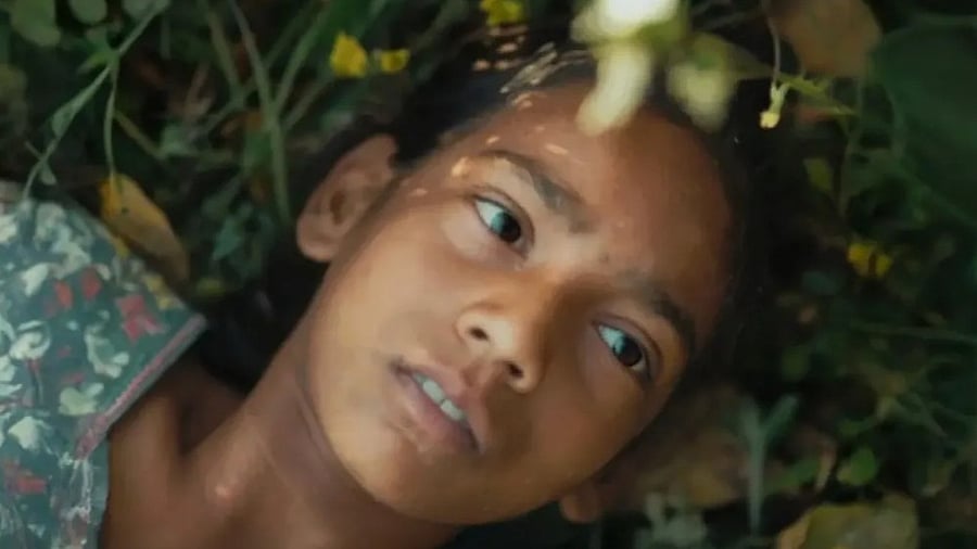 <div class="paragraphs"><p>Poster of <em>Humans in the Loop</em>.</p></div>