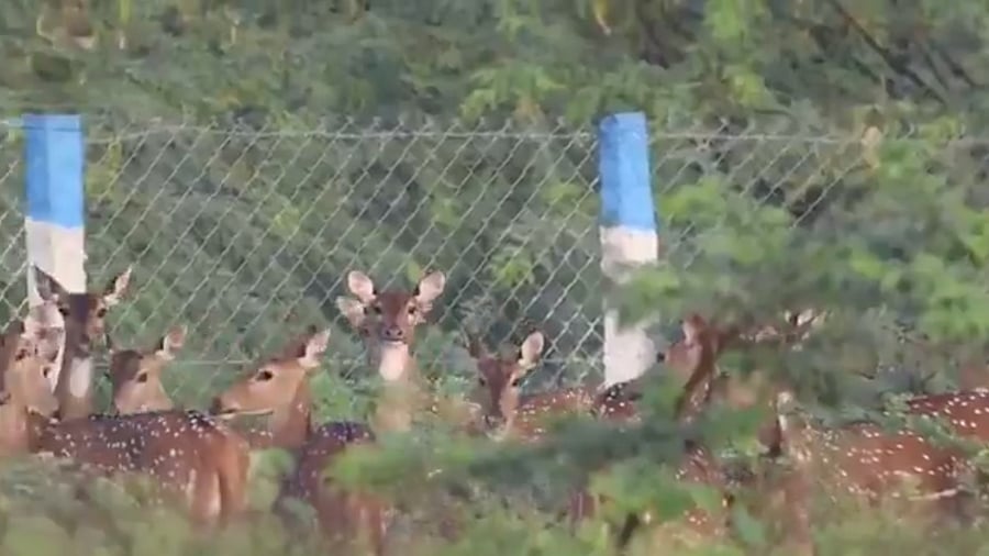 <div class="paragraphs"><p>Screengrab</p></div>