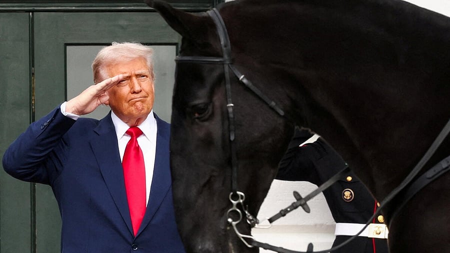 <div class="paragraphs"><p>US President Donald Trump salutes, as he observes a procession of horses passing the White House.</p></div>