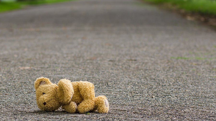 <div class="paragraphs"><p>Teddy bear lies on the road (representative image)</p></div>