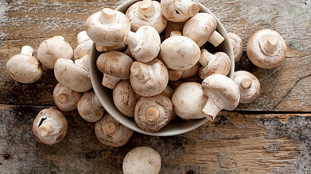<div class="paragraphs"><p>Representative image of mushrooms.</p></div>