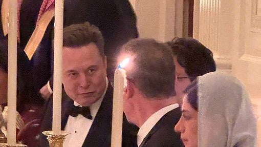 <div class="paragraphs"><p>Elon Musk at the White House.&nbsp;</p></div>