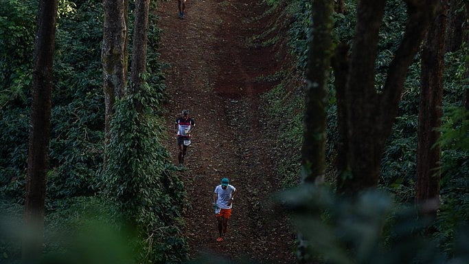 <div class="paragraphs"><p>Runners passing through a scenic trail inside a privately owned-coffee&nbsp;plantation in Chikkamagalur during the previous&nbsp;`Malnad Ultra' Marathon. </p></div>