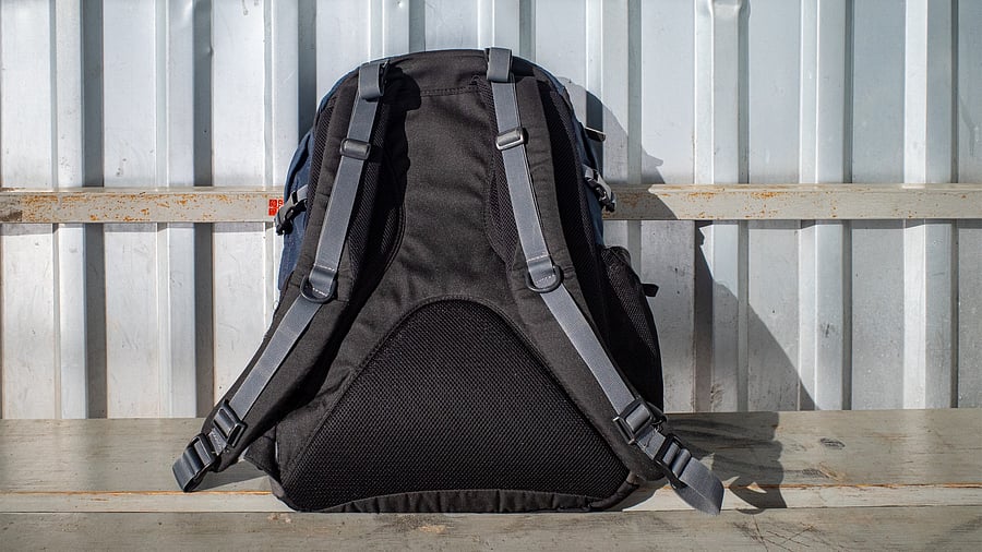 <div class="paragraphs"><p>A representative image.</p></div>