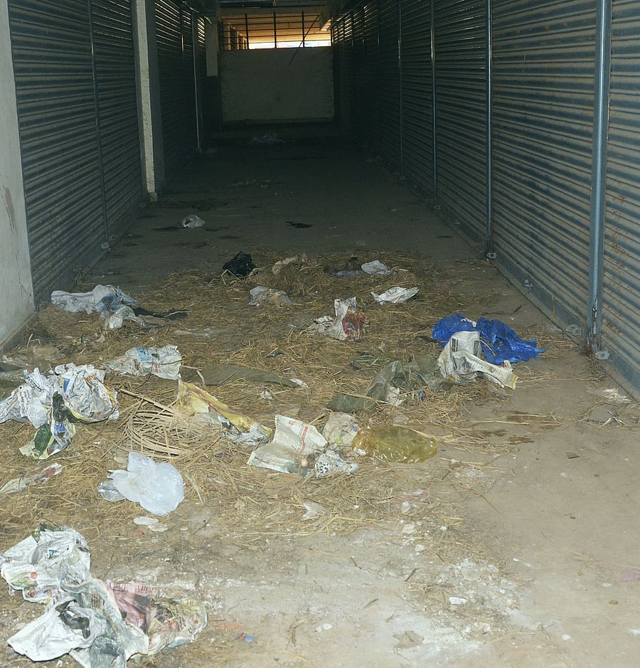 <div class="paragraphs"><p>Waste thrown inside the Janata Bazaar building.<strong> </strong></p></div>