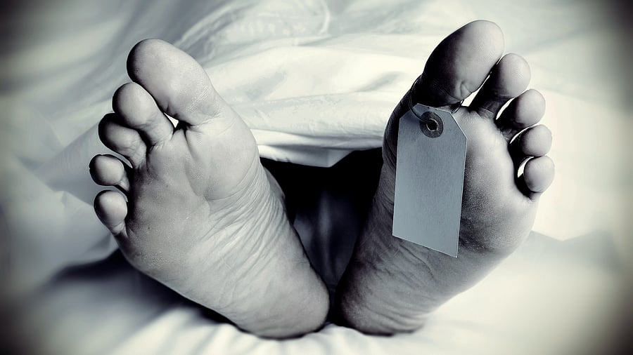 <div class="paragraphs"><p>A representative image.</p></div>