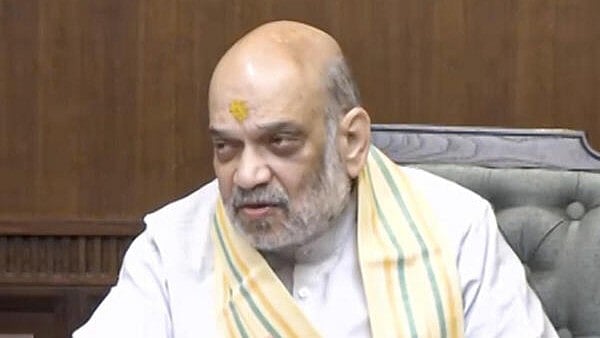 <div class="paragraphs"><p>Union Home Minister Amit Shah.</p></div>