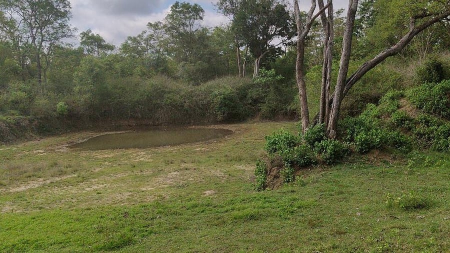 <div class="paragraphs"><p>A view of Nagarahole</p></div>