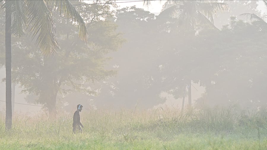 <div class="paragraphs"><p>Mercury plummets in Bengaluru, rain forecast over weekend.</p></div>