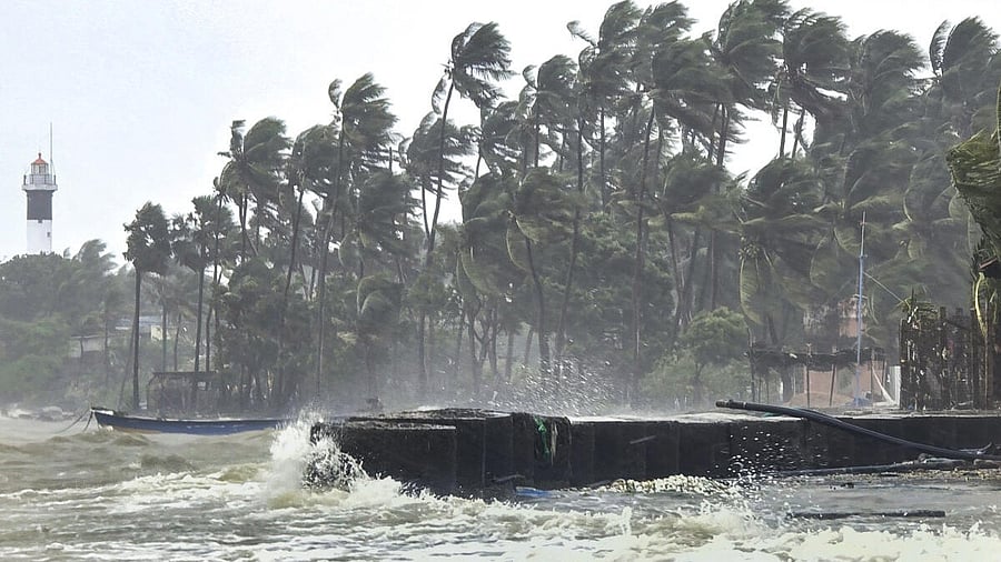 <div class="paragraphs"><p>Palm trees sway in strong winds bend and waves crash against a seawall during rough sea conditions triggered by Cyclone Ditwah.</p></div>