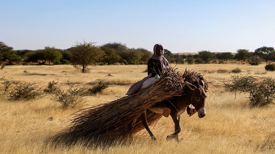 <div class="paragraphs"><p>Sudanese refugees from Darfur at the Iridimi camp in eastern Chad.</p><p></p></div>