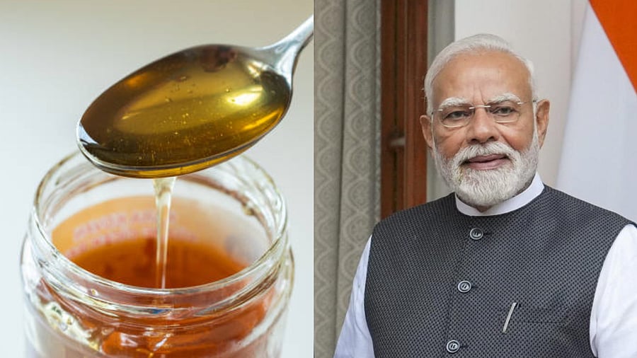 <div class="paragraphs"><p>PM Modi praises honey production practices in Puttur, Tumakuru.</p></div>