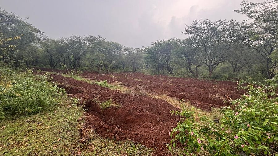 <div class="paragraphs"><p>Forest department has dug multiple pits inside Cauvery Wildlife Sanctuary destroying natural grassland area. </p></div>