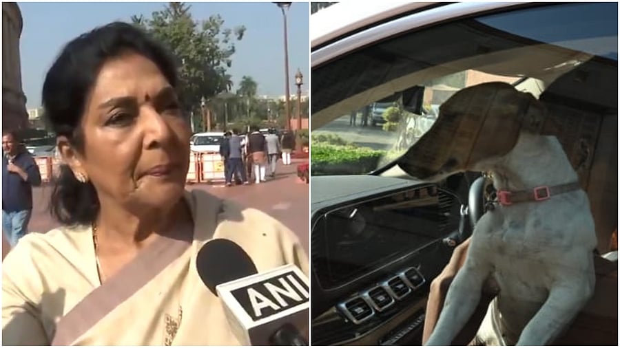 <div class="paragraphs"><p>Credit: X/@ANI</p></div>