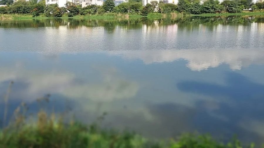 <div class="paragraphs"><p>Representative image showing a lake</p></div>