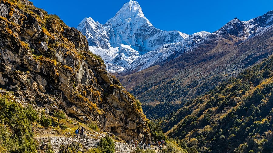 <div class="paragraphs"><p>Representative image</p></div>