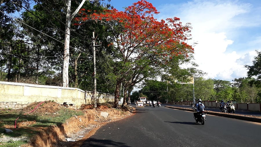 <div class="paragraphs"><p>A file photo of Hunsur Road in Mysuru.</p></div>