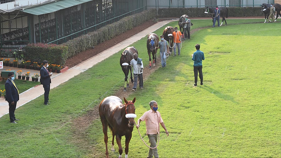 <div class="paragraphs"><p>The Winter Season at the Bangalore Turf Club could potentially be cancelled after five horses reportedly test positive for the highly contagious Glanders disease. </p></div>