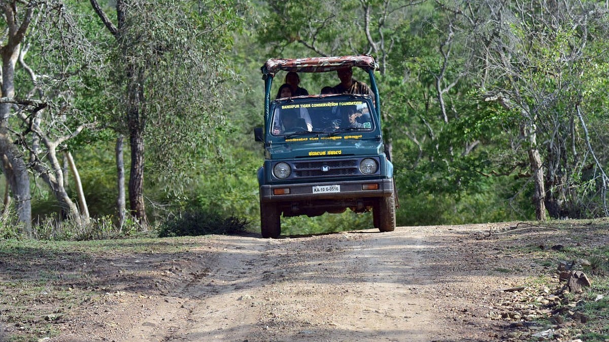Karnataka Tourism Society Advocates for Safari Ban Reversal in Tiger Reserves