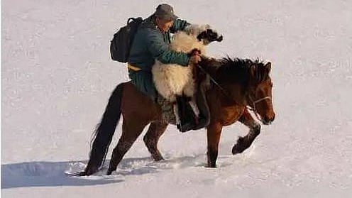 'Mongolia, Valley of the Bears' is one of the 35 films slated for screening.