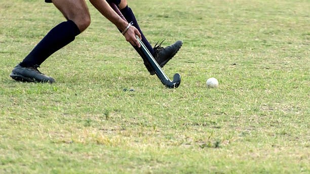 <div class="paragraphs"><p>Hockey.</p></div>