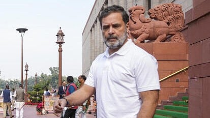 <div class="paragraphs"><p>LoP in Lok Sabha and Congress leader Rahul Gandhi</p></div>