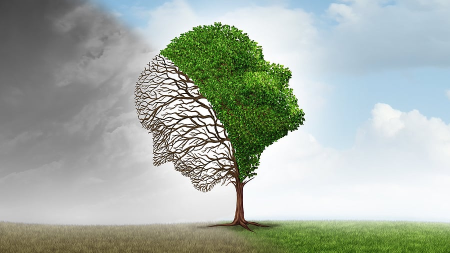 <div class="paragraphs"><p>Image for representational purposes.</p></div>