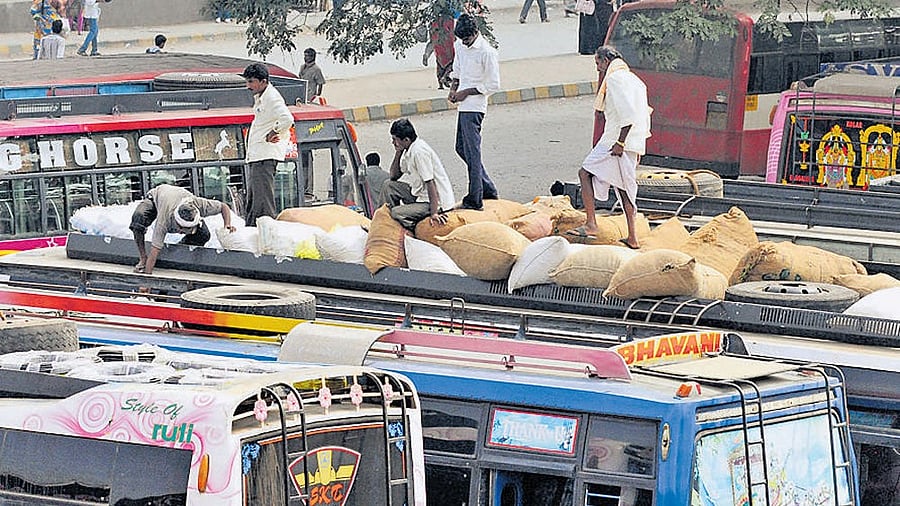 <div class="paragraphs"><p>A representative image.</p></div>