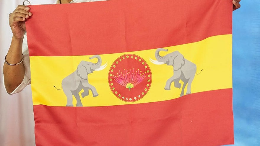 <div class="paragraphs"><p>Image of the TVK flag for representational purposes. </p></div>