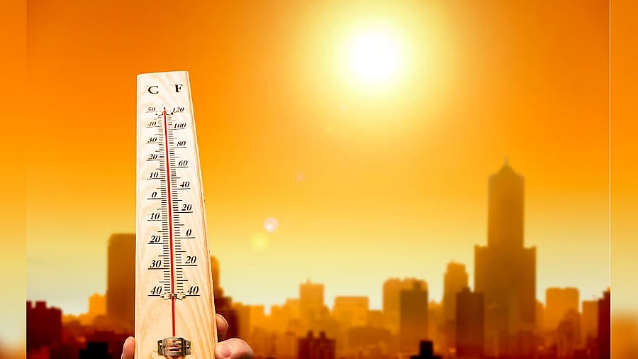 <div class="paragraphs"><p>File photo for representational purpose.</p></div>