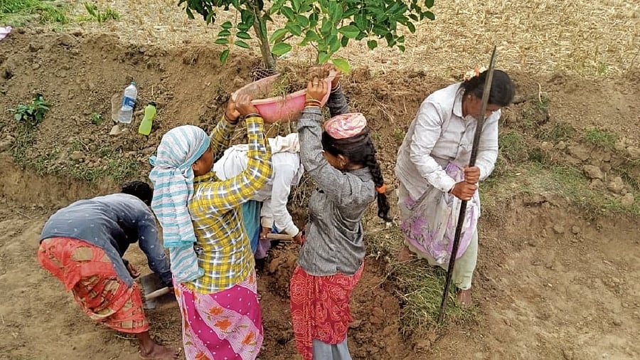 <div class="paragraphs"><p>Women construct a canal in O Mittur gram panchayat in Kolar district; A rejuvenated kalyani at Pichaguntlahalli. DH Photo</p></div>