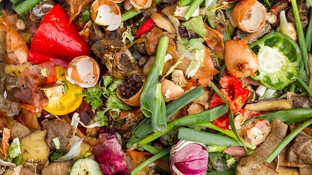 <div class="paragraphs"><p>Plant waste. Credit: iStock </p></div>