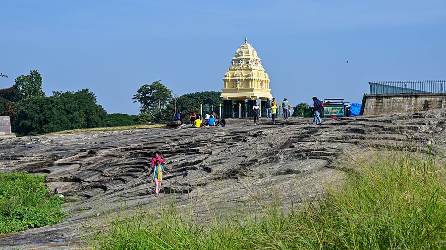 <div class="paragraphs"><p>The Peninsular Gneiss at the Lalbagh Botanical Garden in Bengaluru.</p></div>