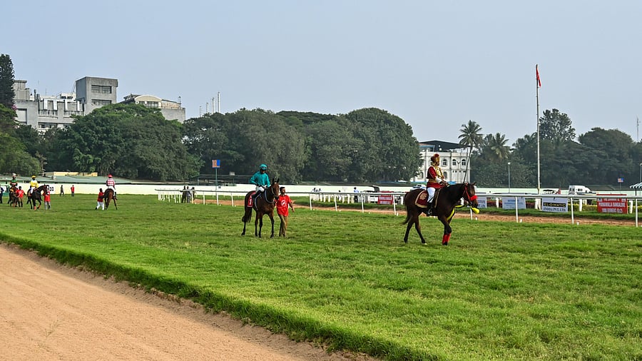 Racing at the Bangalore Turf Club continues to be in limbo after NRCE has requested samples of nine horses to be sent again for additional testing. DH FILE PHOTO