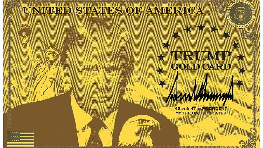 <div class="paragraphs"><p>Donald Trump launches gold card program for expedited visas with a $1 million price tag.</p></div>