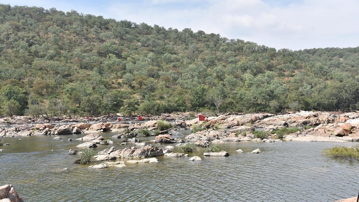Karnataka Informs Centre: Mekedatu Project to Submerge Over 5,000 Hectares