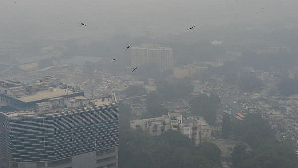 <div class="paragraphs"><p>A representative image.</p></div>