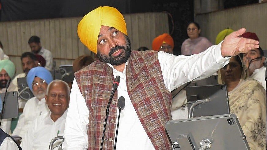 <div class="paragraphs"><p>Punjab Chief Minister Bhagwant Mann.</p></div>