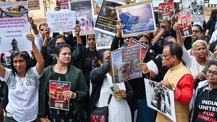 <div class="paragraphs"><p>People from diverse backgrounds gathered at Freedom Park on Tuesday to protest the relocation of stray dogs from institutions and hospitals to GBA’s facilities. </p></div>