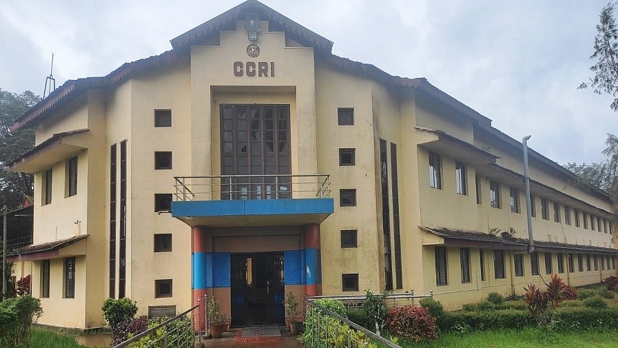 <div class="paragraphs"><p>The Central Coffee Research Institute at Balehonnuru in Chikkamagaluru district is set to mark its centenary with celebrations planned from December 20-22. </p></div>