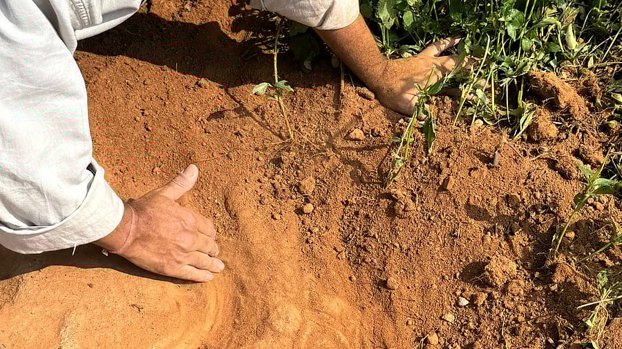 <div class="paragraphs"><p>Figures of hero and Sati emerging from a buried Viragal at Sankenhalli in Tumakuru district.</p></div>