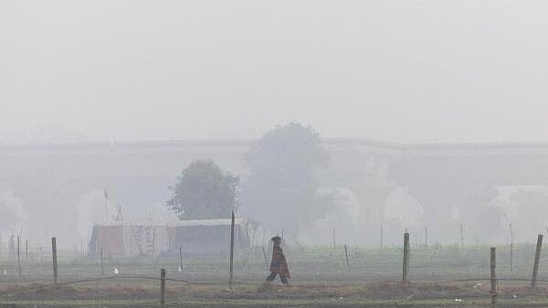 <div class="paragraphs"><p>A girl walks through a field amidst air pollution in New Delhi</p></div>