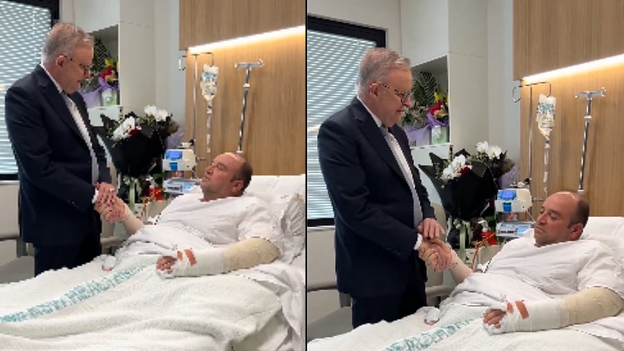 <div class="paragraphs"><p>Credit: X@AlboMP</p></div>