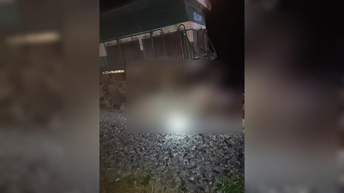 Assam Train Mishap: 7 Elephants Killed, Rajdhani Derailed