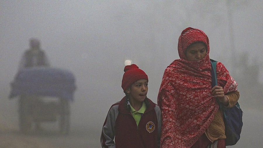 <div class="paragraphs"><p> Citizens brave dense fog on a winter morning, on the outskirts of Jammu.</p></div>