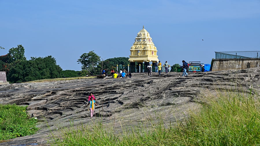 <div class="paragraphs"><p>A view of the area at Lalbagh Botanical Garden, where the tunnel road project poses a potential threat to the 300-million-year-old rock formation and fragile ecosystem, including flora and fauna that could be impacted by the project. </p></div>
