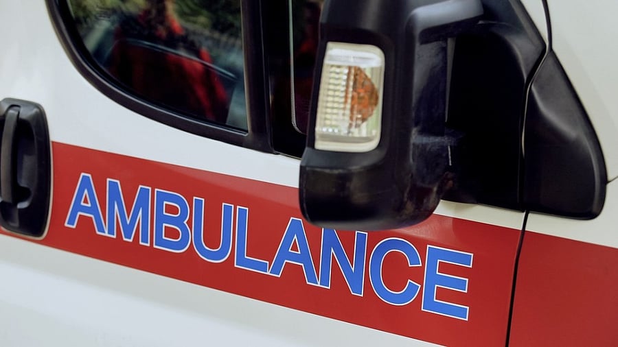 <div class="paragraphs"><p>Representative image </p></div>